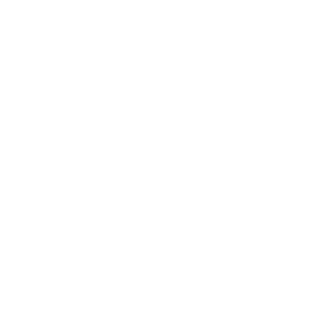 Henry River Mill Village